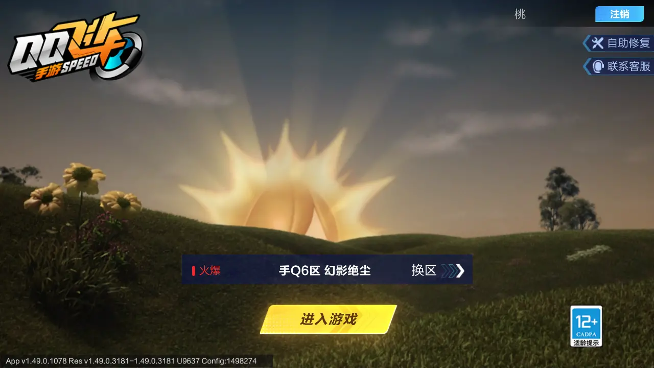 FCSLC31332QQ飞车手游账号详情图2 FCSLC31332QQ飞车手游账号详情图2